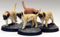 Grendel Hounds painted for 7TV.