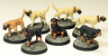 Grendel Hounds painted for 7TV.