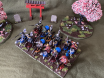 Samurai Cavalry 13