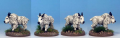 Mountain Goat, Frostgrave Ghost Archipelago, North Star Military Figures.