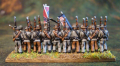 Epic Warlord Confederate Regiment back