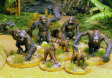 13_Admiral_Benbow_Kings_of_the_Jungle.jpg