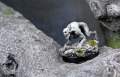 Running Ghoul