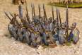 Phalanx 2