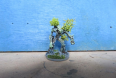Dryad