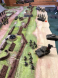 dday6