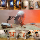 Crashed Escape Pod 2