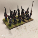 Napoleonic Spanish Army