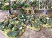 BSC2021_snitchythedog_Bog_Terrain