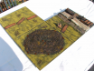 BSC2021_Vanvlak_Field