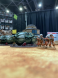 Star Scholck and Ball Tanks
