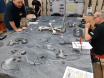 Moongrunt game 2019